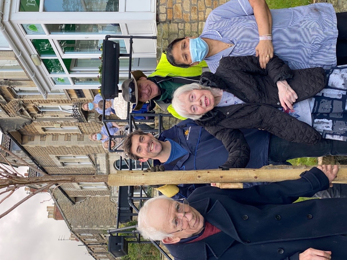 Image of Selwood Plants Trees in Frome