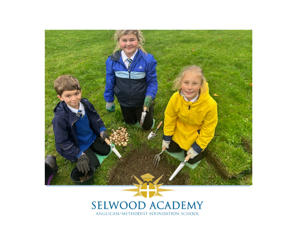 Image of Frome’s Spring Pollination Stations Bulb Planting Campaign