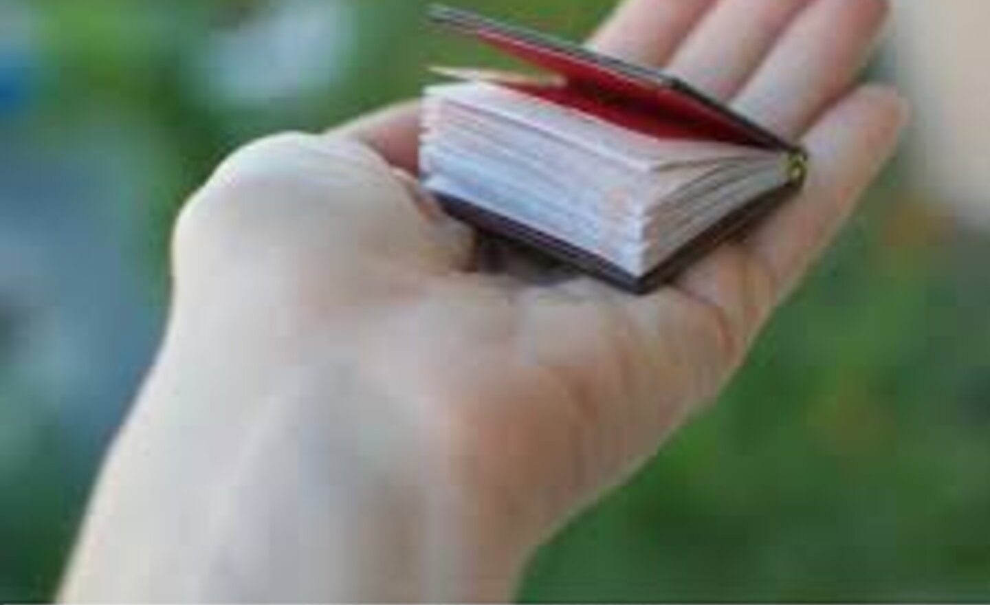 Image of Miniature Book Competition