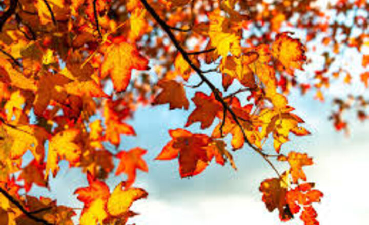 Image of Welcome back to Autumn 2!