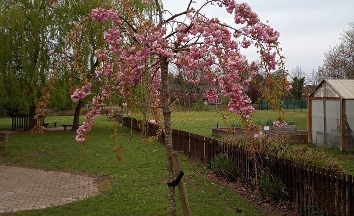 Image of A brand new beginning for Seven Stars