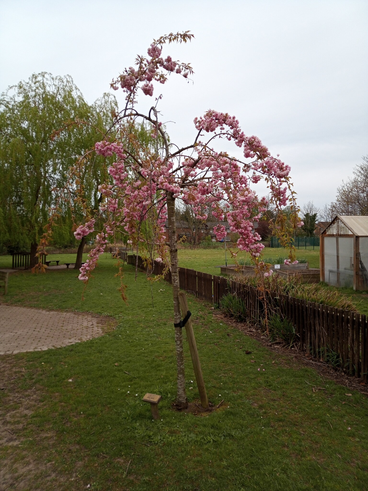 Image of A brand new beginning for Seven Stars