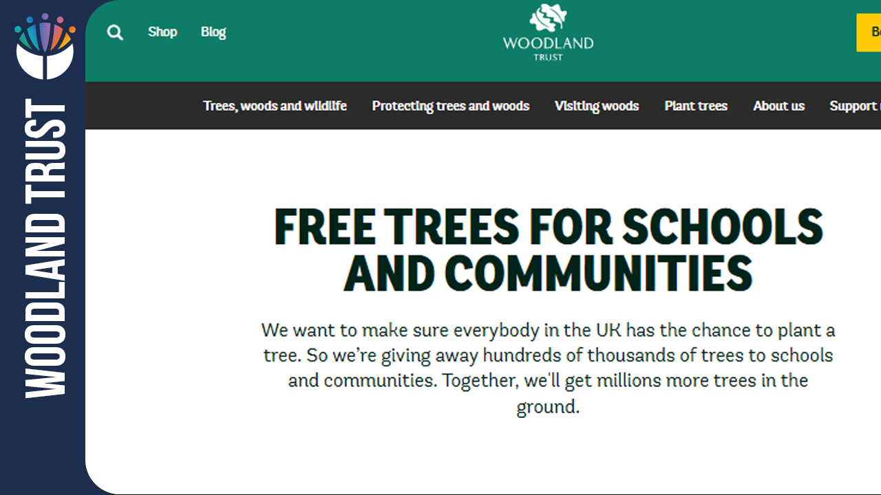 Image of Free Trees for Schools