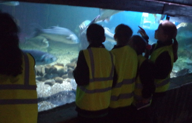 Image of Sealife Center Blackpool 