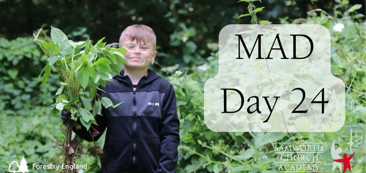 Image of Making A Difference to our local woods