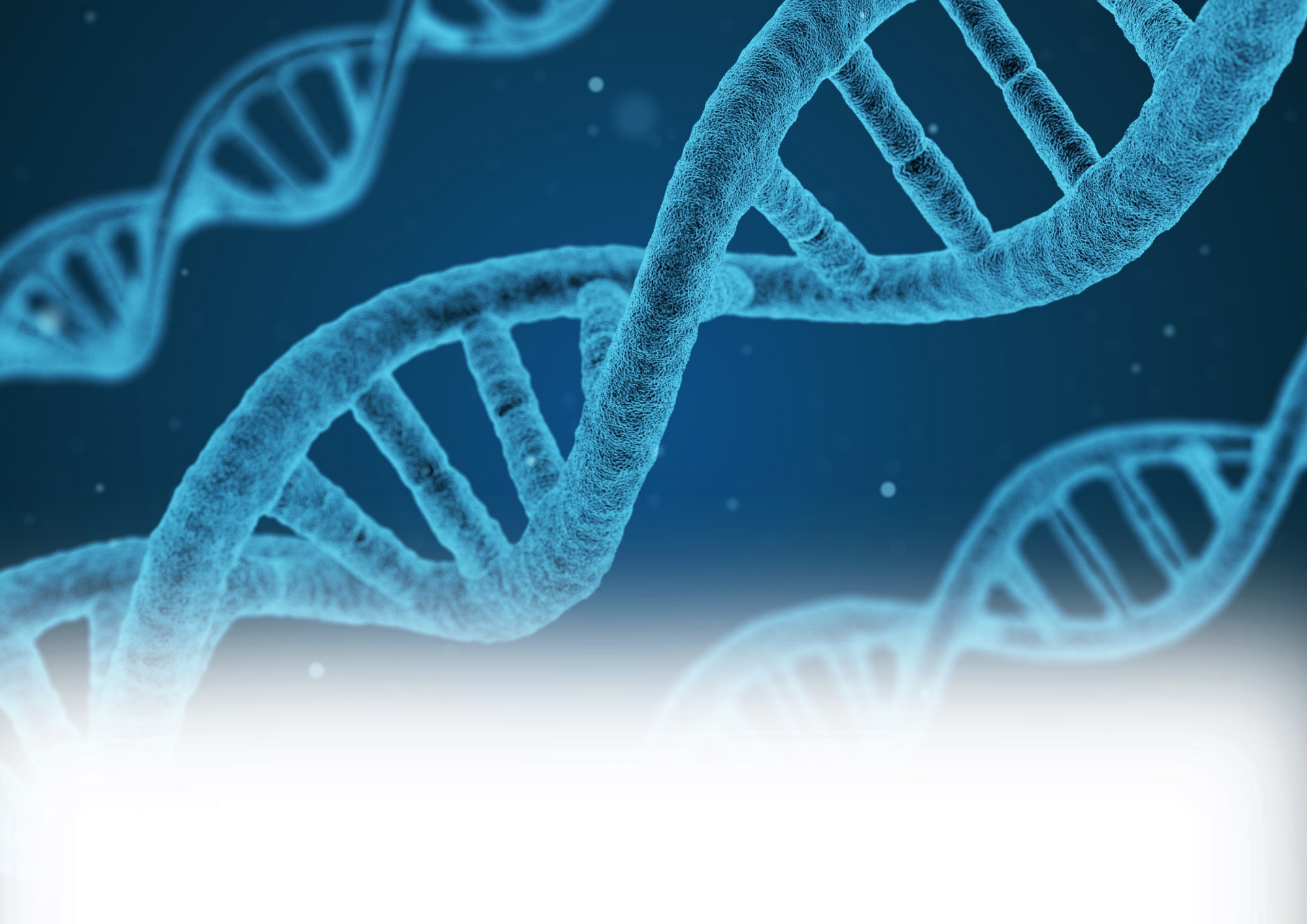 Image of A Level Biology