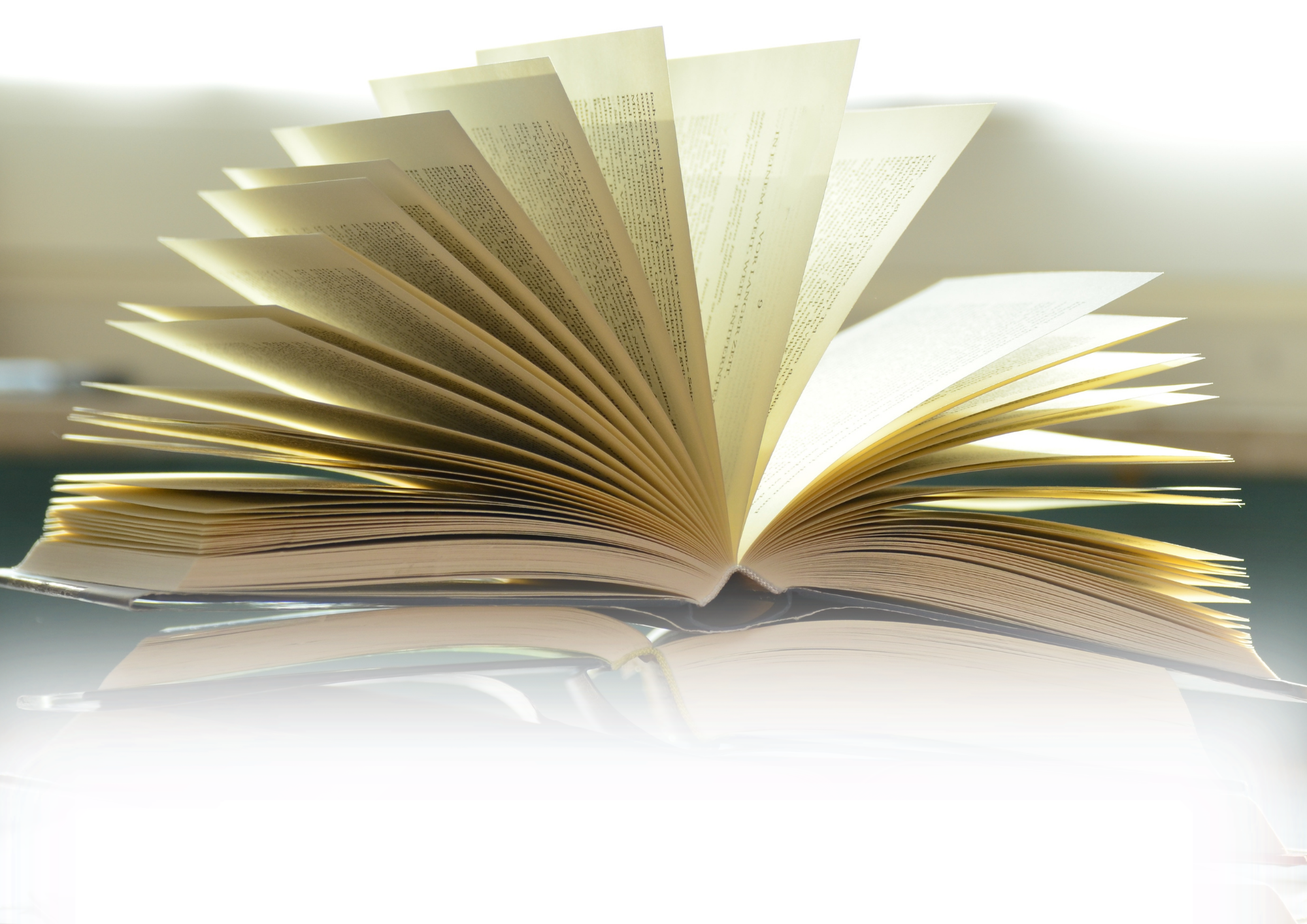 Image of GCSE English Literature