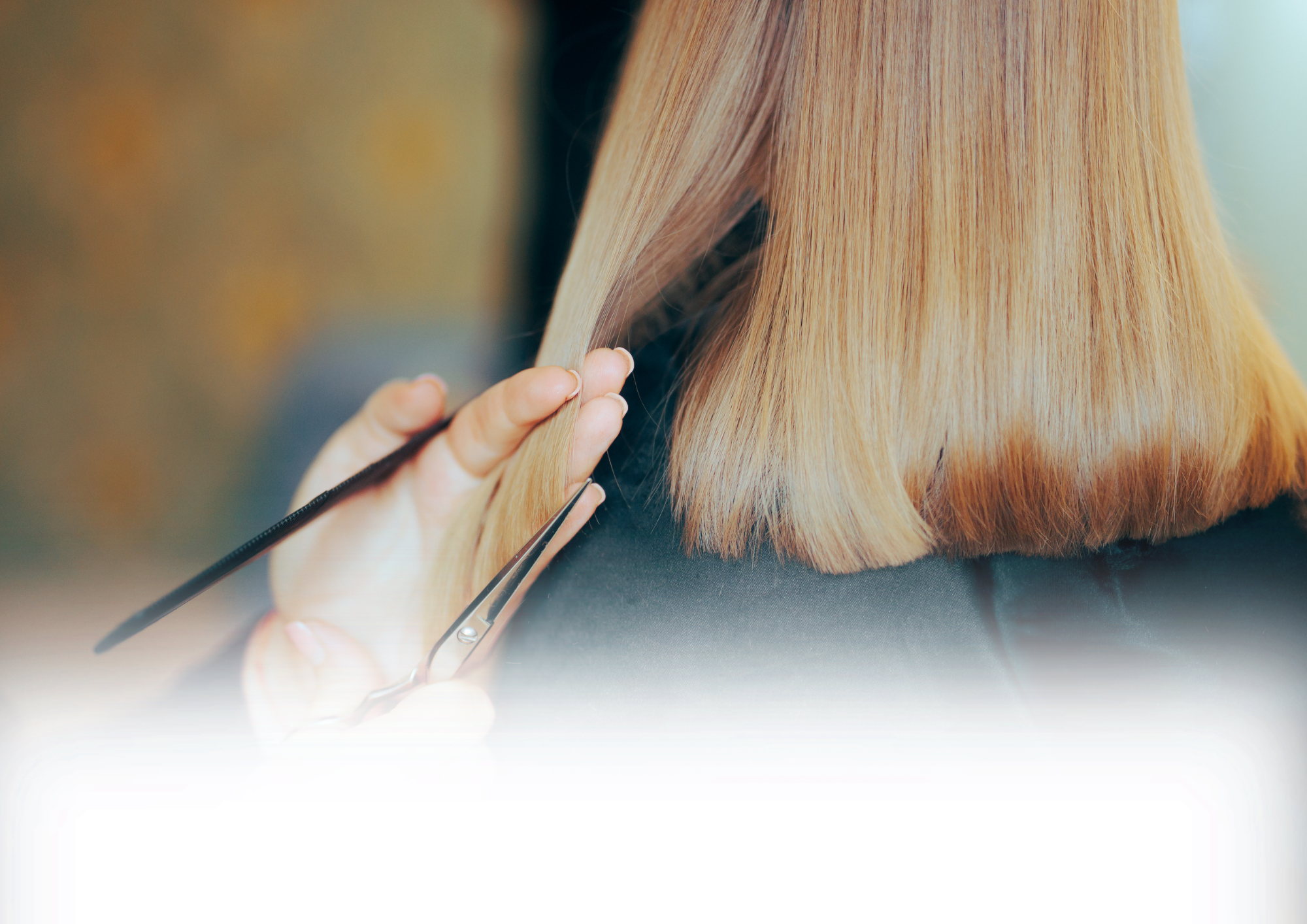 Image of NVQ Level 2 Hairdressing