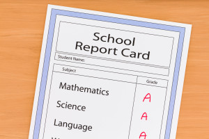 Image of Assessment Reports