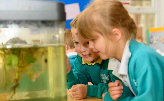 Image of Starting School in September 2027 - School Tours and Information Sessions