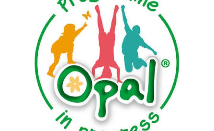 Image of OPAL- Outdoor Play and Learning