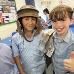 Image of All about the Romans...