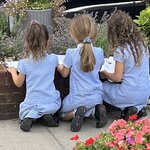 Image of Still life drawing in our Wellbeing Garden