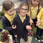 Image of Minibeast Hunt in Science 