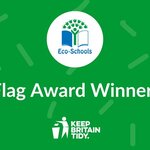 Image of Sinai awarded a prestigious Eco-Schools’ Green Flag