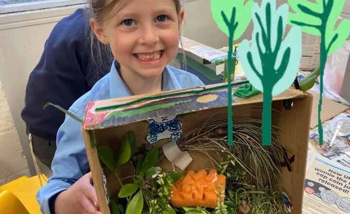 Image of Habitat shoebox diorama from Year 2