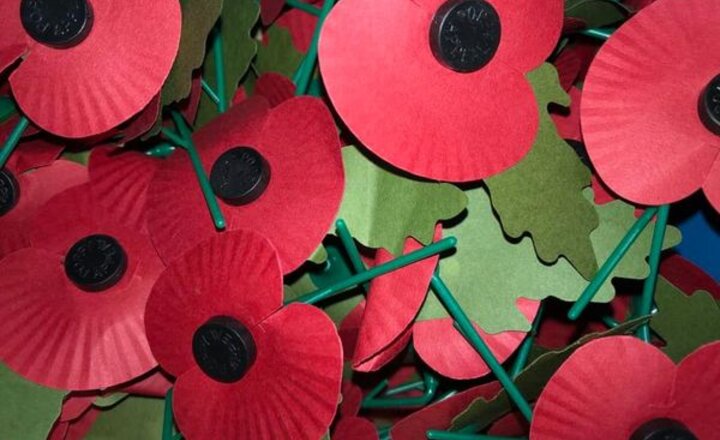Image of Proud to support the Poppy Appeal