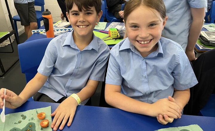 Image of Year 4 Mummifying tomatoes experiment 