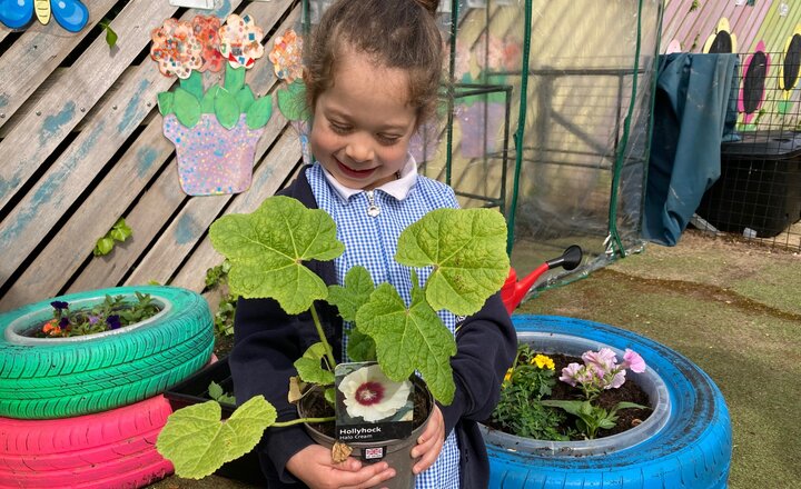 Image of Nursery Garden as part of 'Growing' topic 