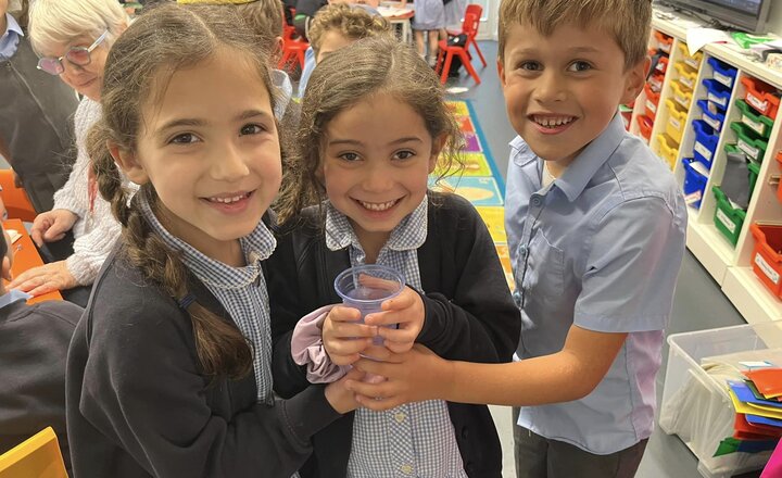 Image of Science predictions and recording findings 