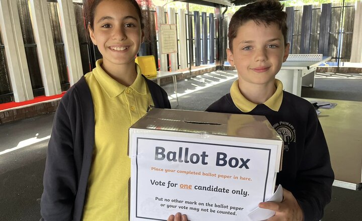 Image of Mock Elections at Sinai - voting open! 