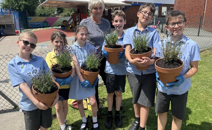 Image of Eco Warriors in action