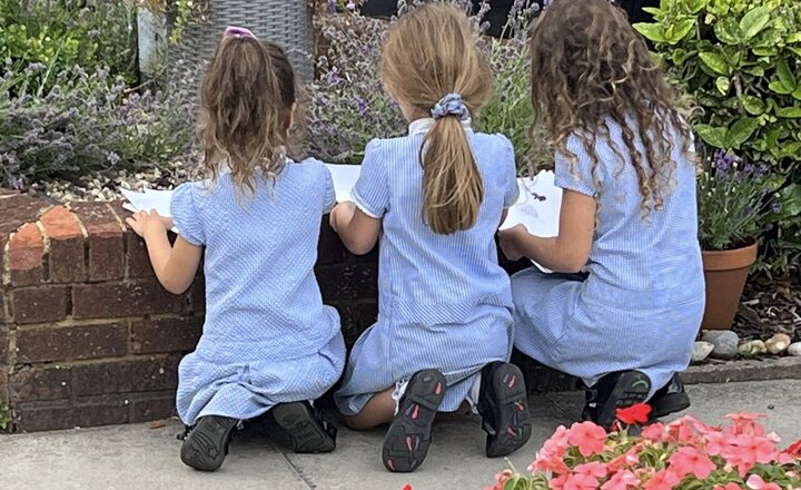 Image of Still life drawing in our Wellbeing Garden