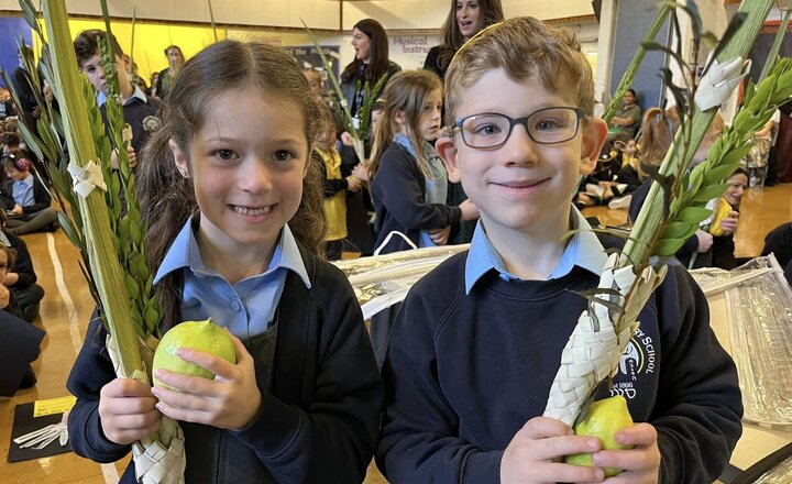 Image of Succot in School