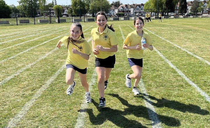 Image of TCS Mini Marathon 