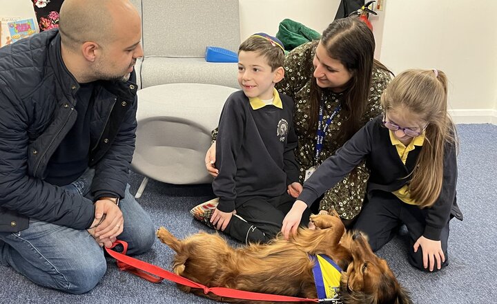 Image of Meet Ralph the therapy dog...
