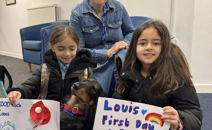 Image of Louis the therapy dog joins the Sinai family! 