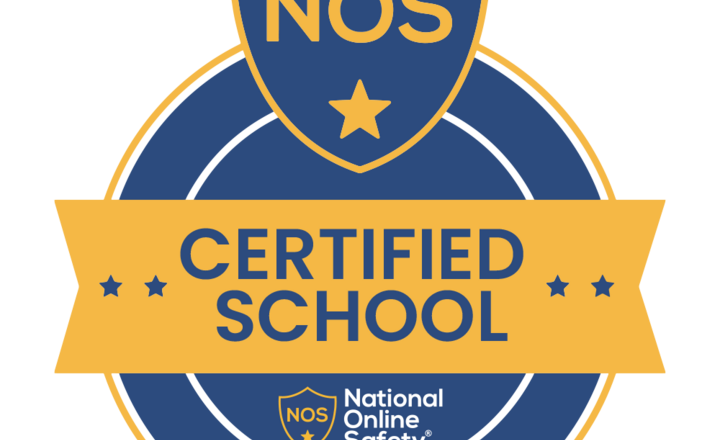 Image of Online Safety Award