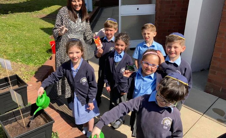 Image of Planting and growing fruit and vegetables