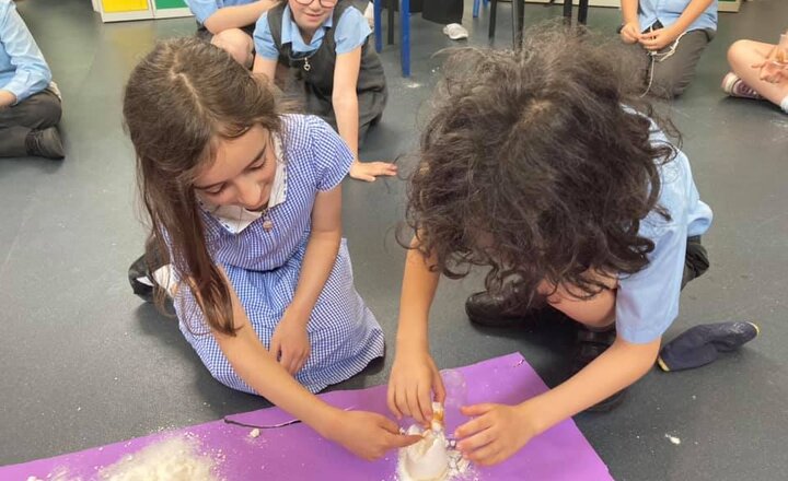 Image of Mummified tomatoes as year 4 study Ancient Egypt