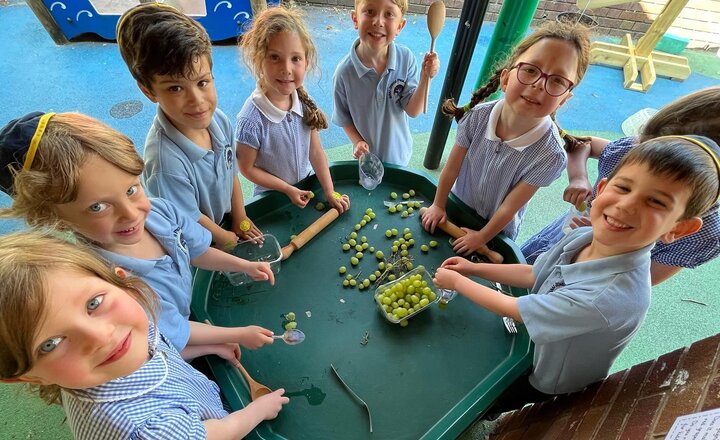 Image of Reception make grape juice 