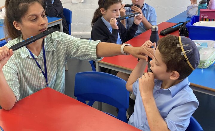 Image of Flute lessons for year 3