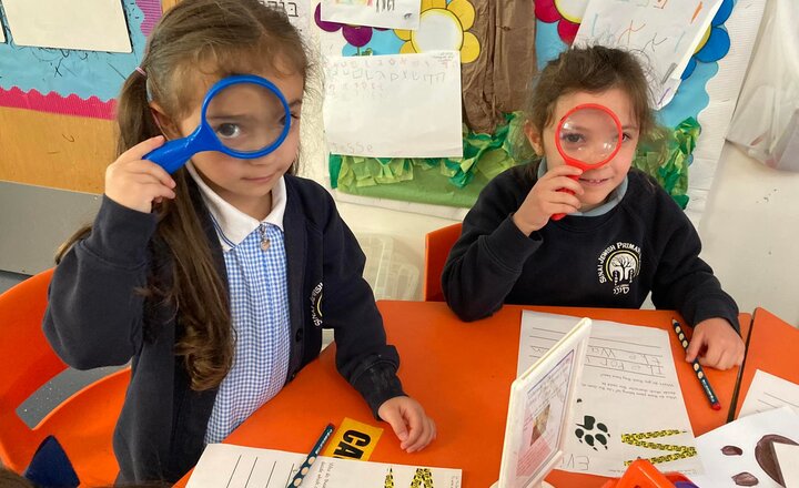 Image of Three Little Pigs visit Reception 