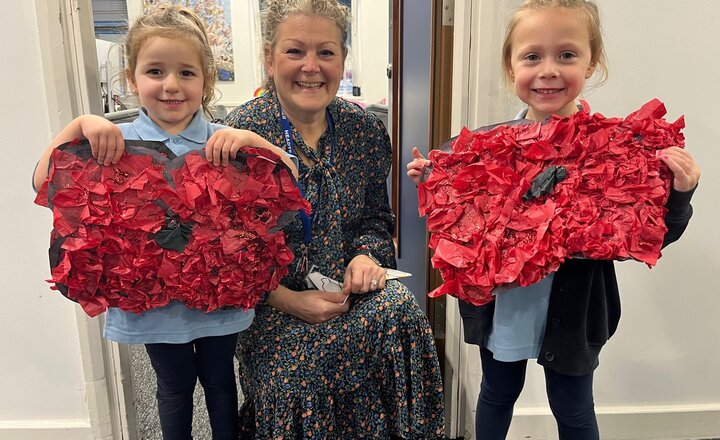 Image of Poppy Display for Remembrance Day 