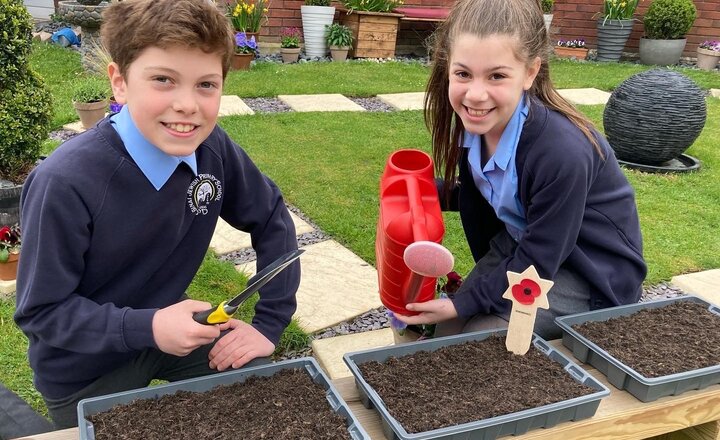 Image of Poppy planting in our Wellbeing Garden 