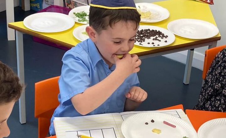 Image of Year 1 Science Investigation - 'Senses'