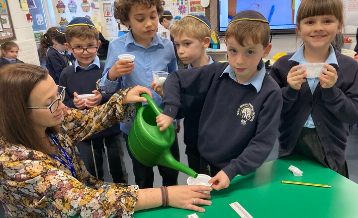 Image of Year 2 Science Investigation - Growing 