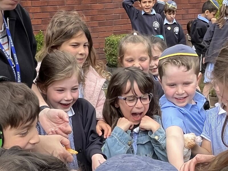 Image of Year 1 release their butterflies 