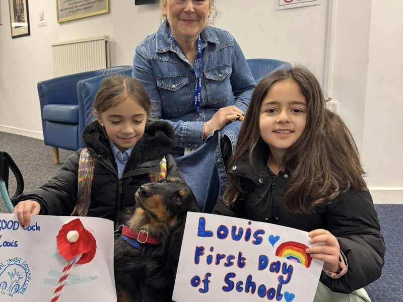 Image of Louis the therapy dog joins the Sinai family! 