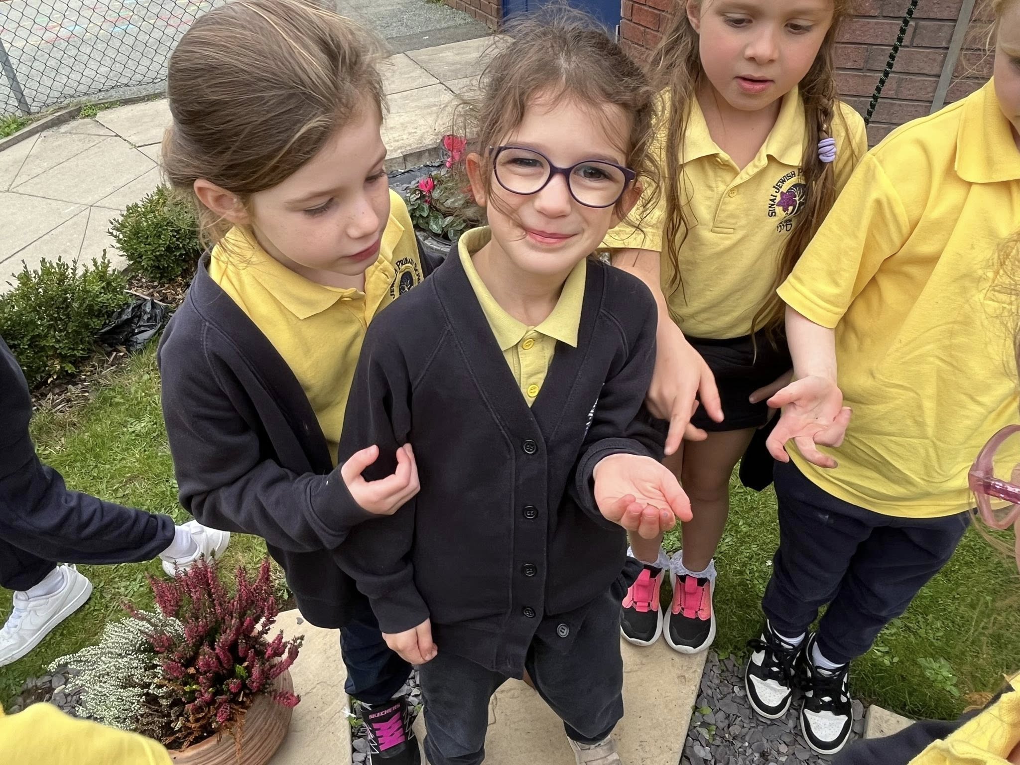 Image of Minibeast Hunt in Science 