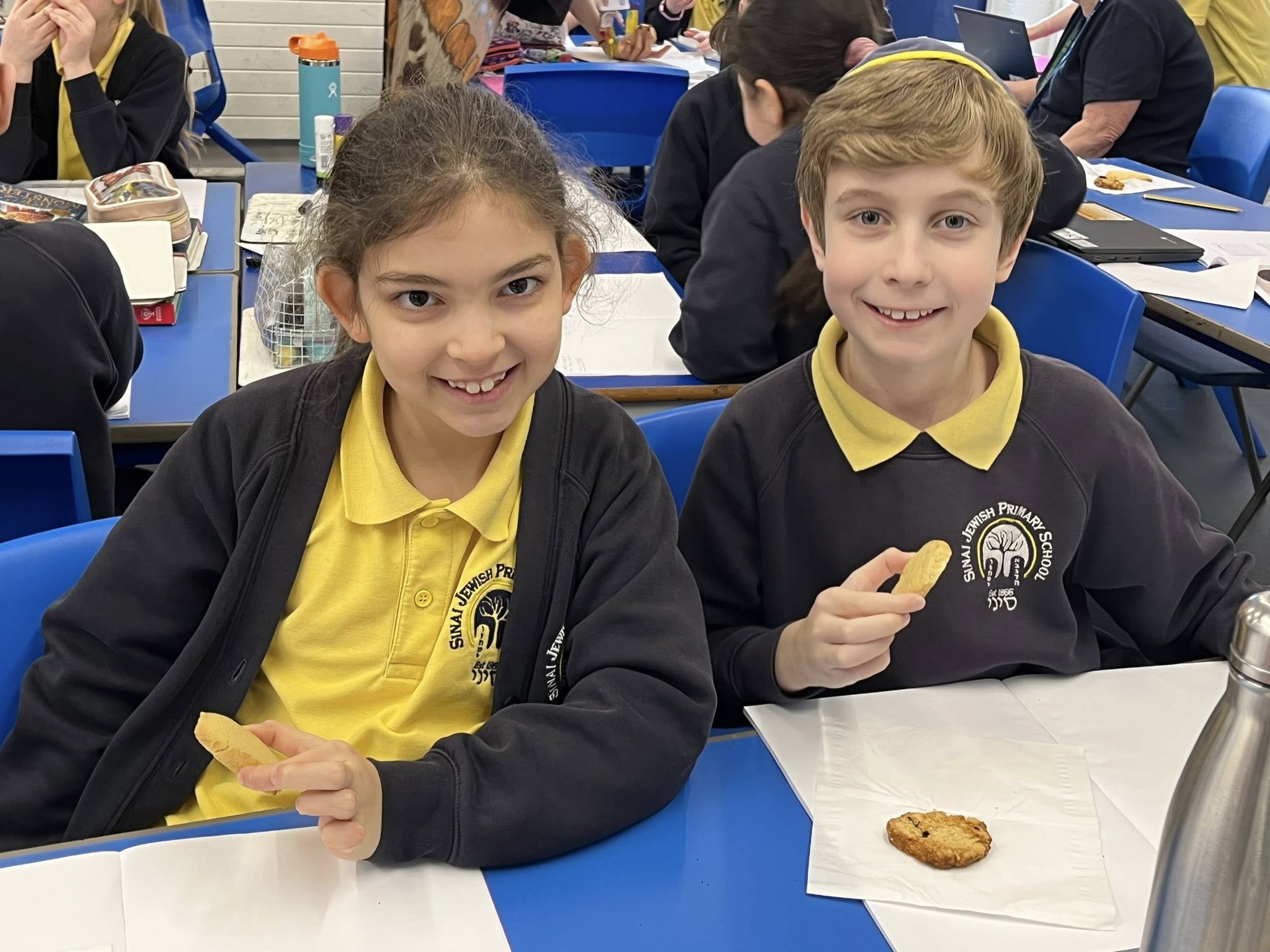 Image of DT Biscuit Investigation