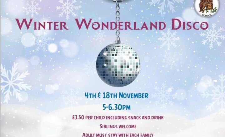 Image of Winter Wonderland Disco