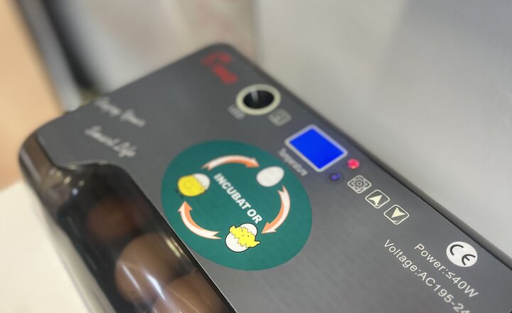 Image of St Mary's Egg-citing News!