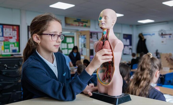 Image of Ofsted Praises School’s Calm, Supportive Environment