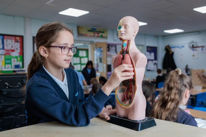 Image of Ofsted Praises School’s Calm, Supportive Environment