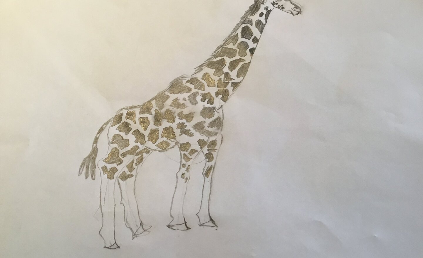 Image of Do you want to learn how to draw animals?